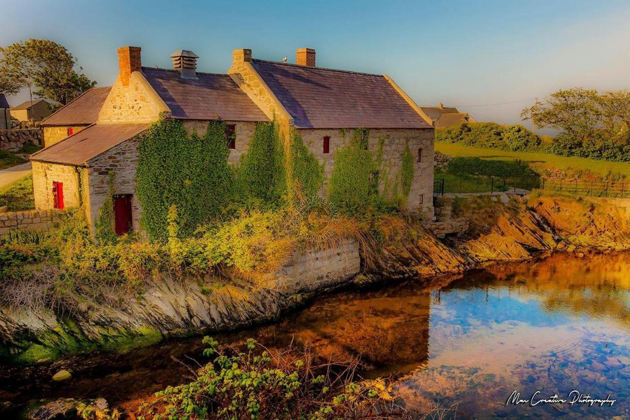 Lovely 2-Bed Cottage At The Foot Of The Mournes Νιούρι Εξωτερικό φωτογραφία